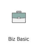 Biz Basic